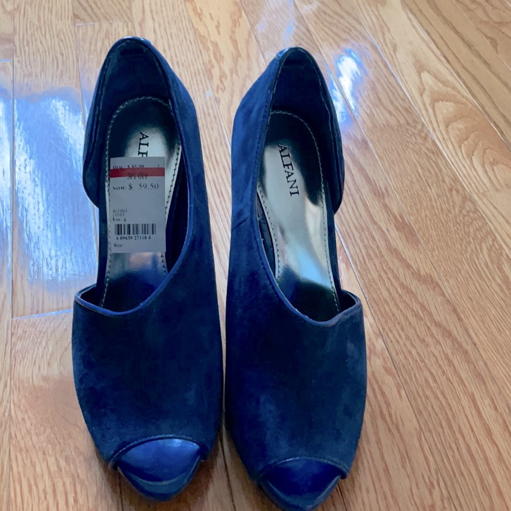 Beautiful bark navy blue shoes.